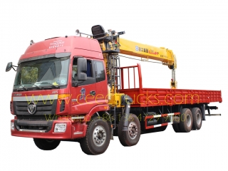 FOTON 16T mobile boom crane lorry truck
