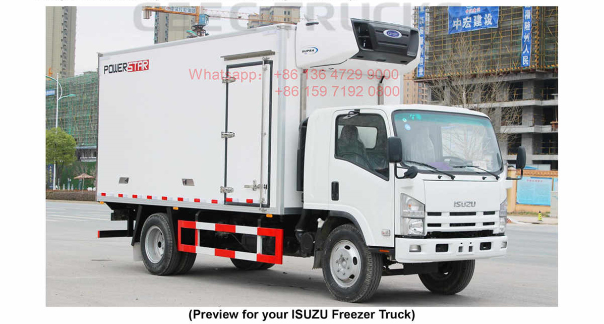 French Polynesia--ISUZU ELF 8Tons Freezer Truck Manual