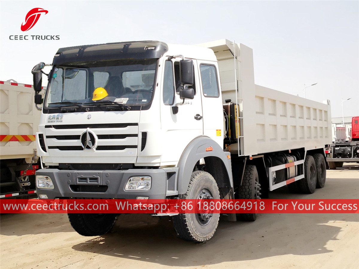 North benz Tipping truck