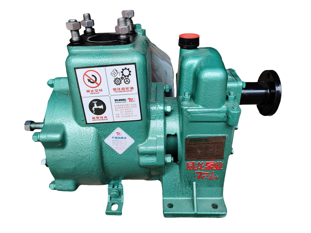 WEILONG 80QZB-6090 water pump