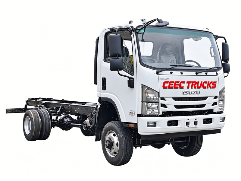ISUZU NPR 190HP 4x4 offroad cargo truck