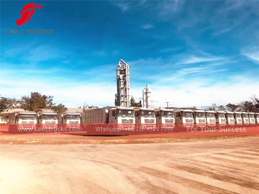 Guinea-20 units SHACMAN dump truck for mine working