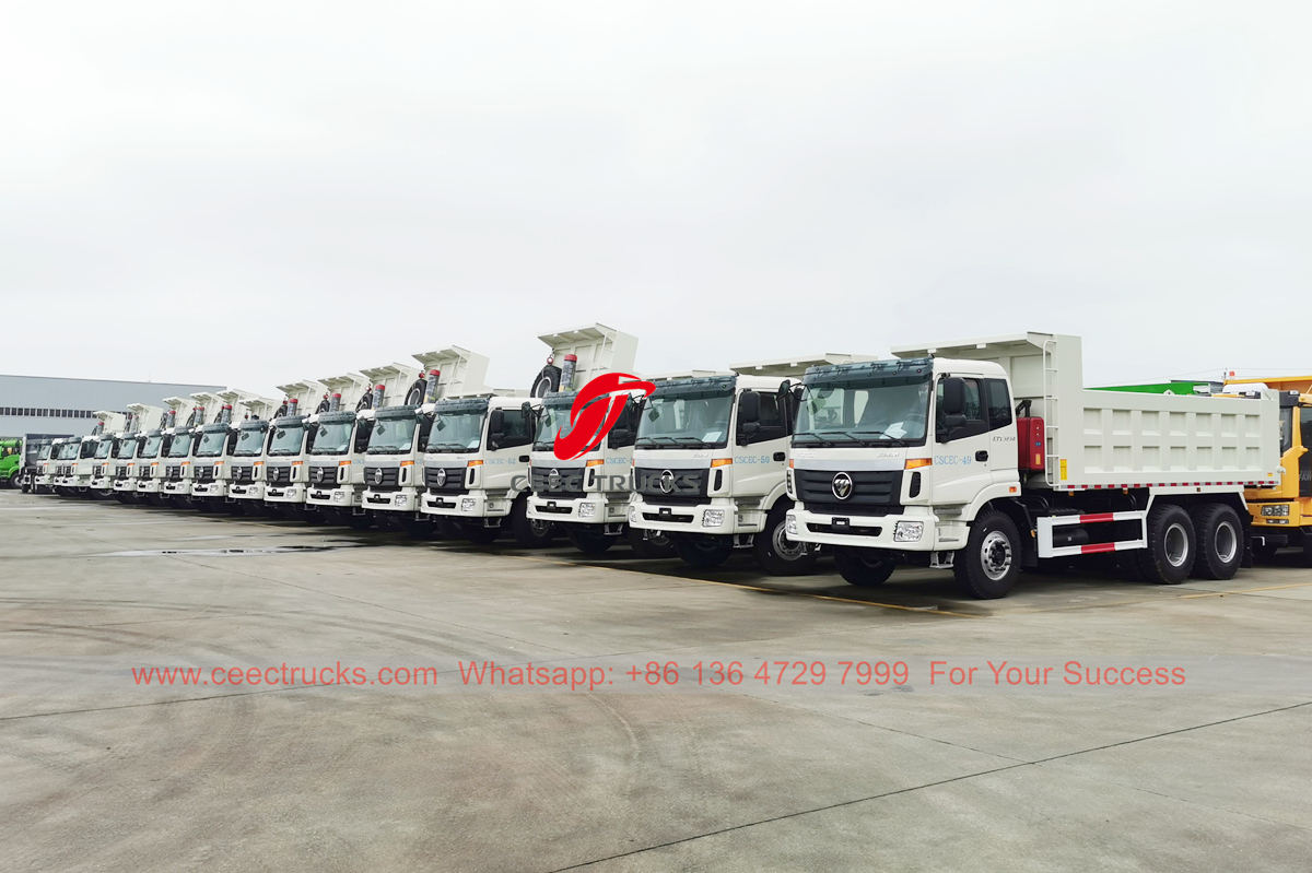 Algeria-30 units FOTON dump truck were exported